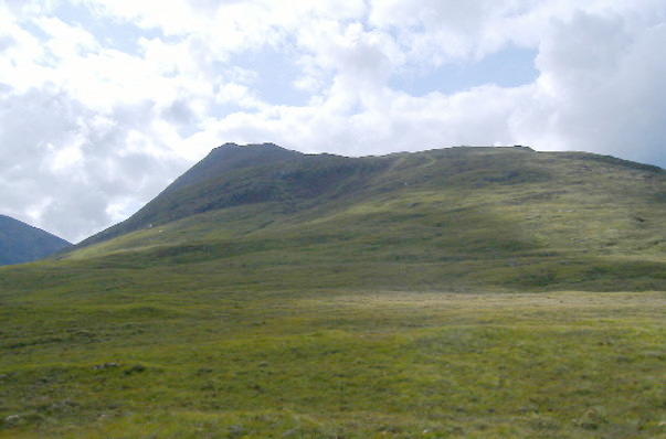 photograph looking up at Ben Tee 