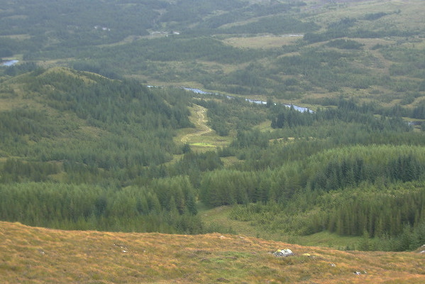 photograph looking down on the route through the trees 