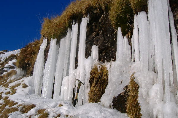 photograph of icicles