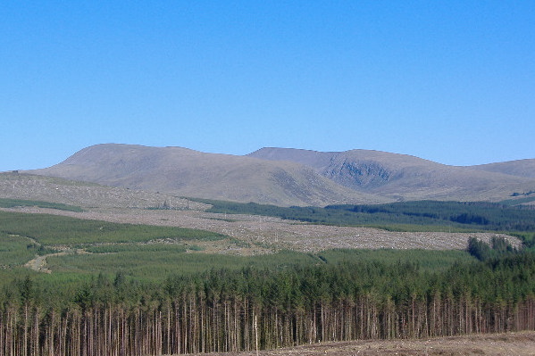 photograph across to Merrick from the road 