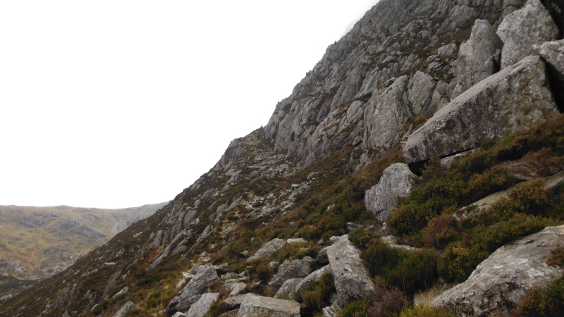  a bit of the Heather Terrace that actually looks like a path 