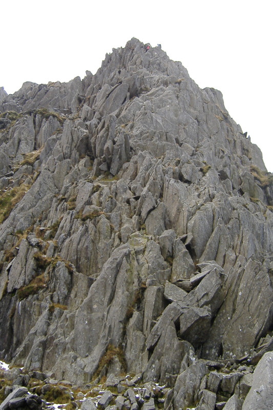  Looking up the wall 