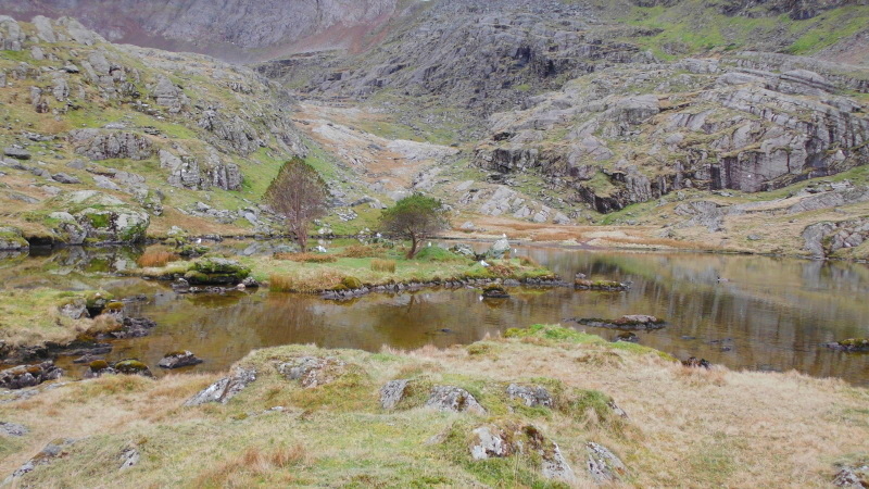  Llyn Glas 