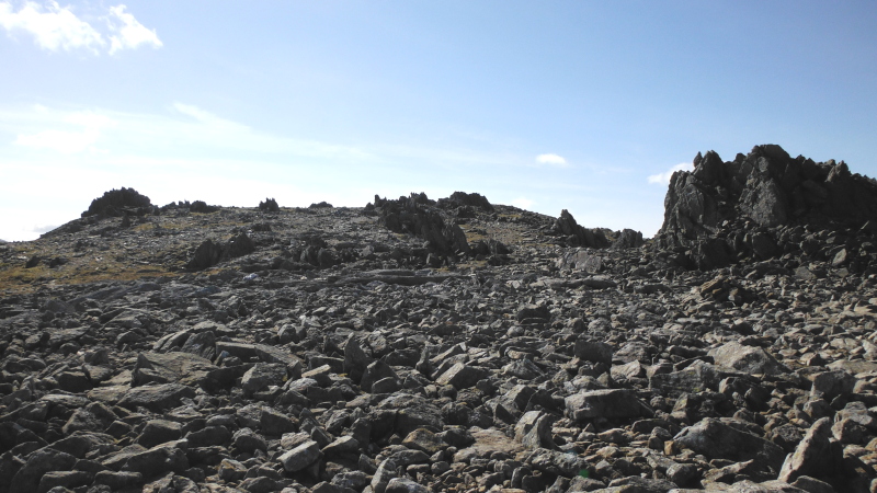  the summit of Glyder Fawr  