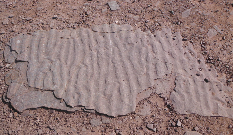  more rippled rocks 