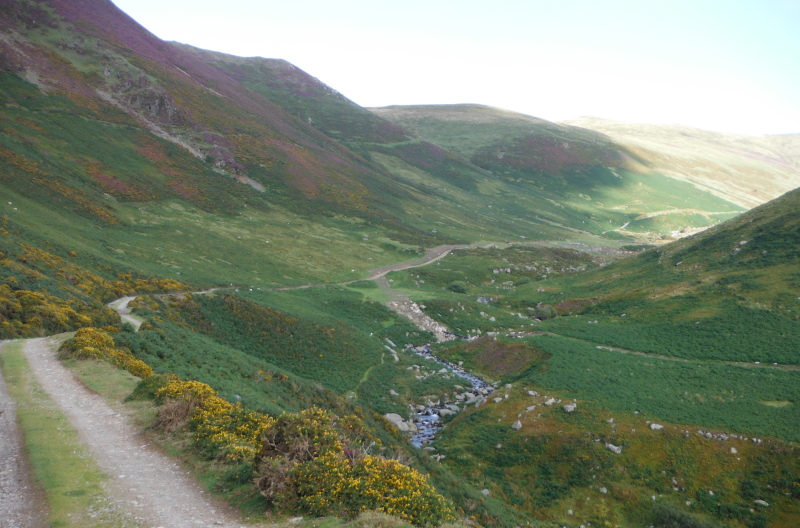  looking up the track 