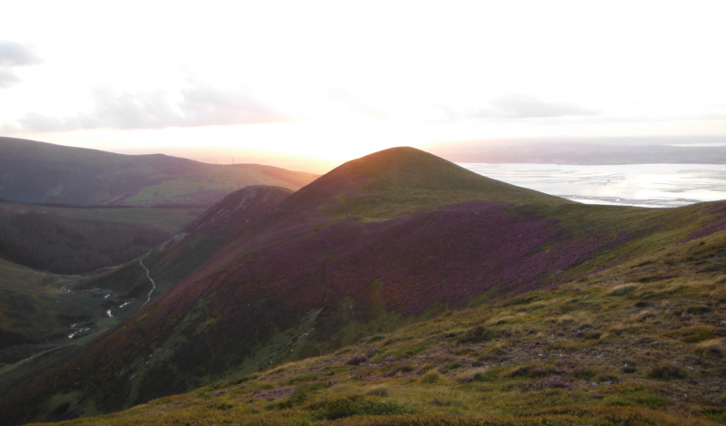  looking across to Foel-ganol 