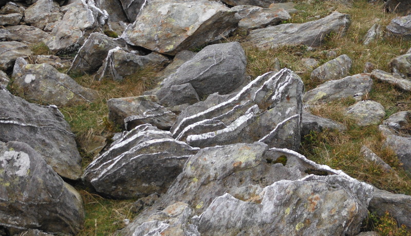  a rock with the quartz seams