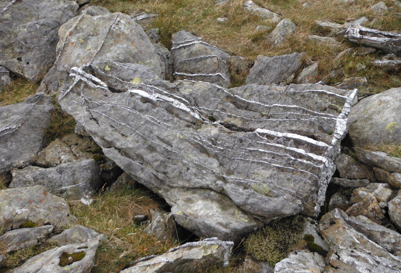  another rock with a layer of quartz at the end 