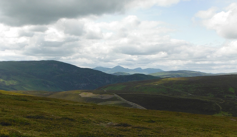  the Ben Lawers group  