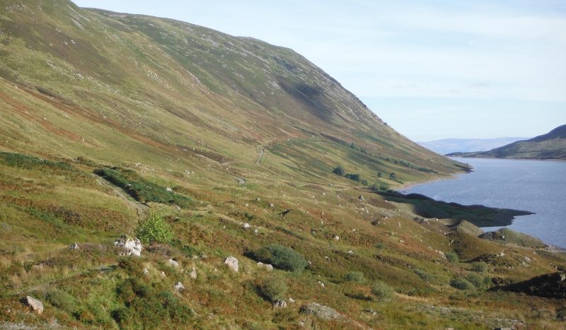  looking along the side of the hill above the loch 