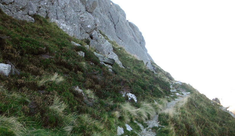  the first part of the Heather Terrace 