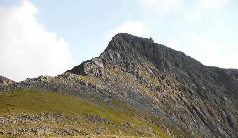  looking up Y Gribin 