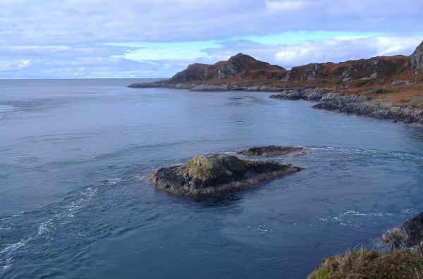 photograph looking west through the Grey Dogs