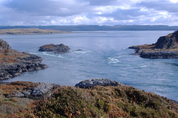 photograph looking east through the Grey Dogs