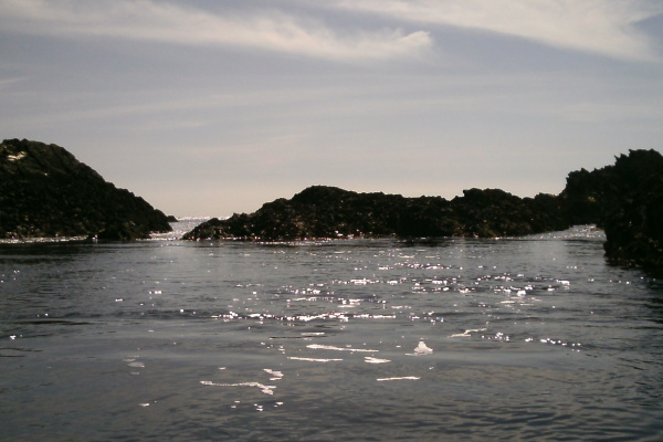 photograph of a channel through the rocks at Penrhyn Mawr at low tide 