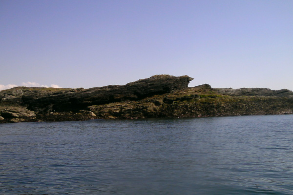 photograph of rock formation that sort of looks like a seal 