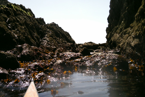 photograph of the slimey seaweed through the white arch 