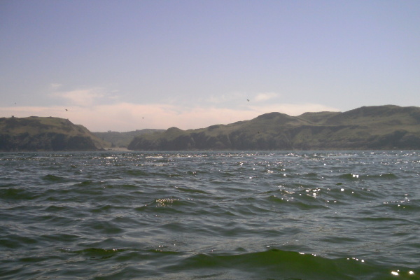 photograph of the coastline to the south of Middle Mouse 