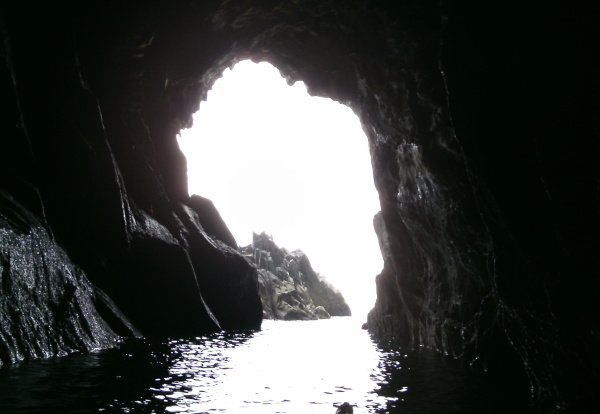 photograph from the inside of the cave 