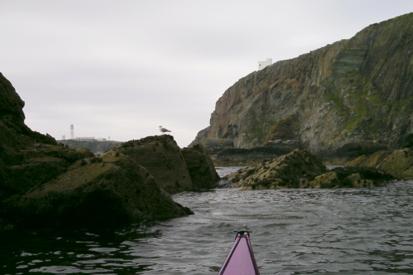 photograph of the coastline 