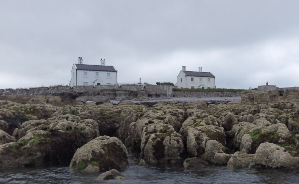 photograph of the two houses 