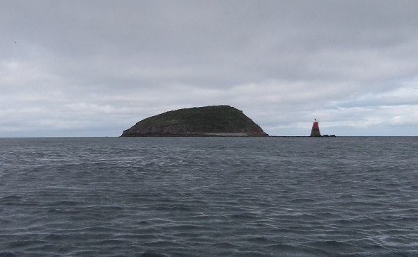 photograph of Puffin Island 