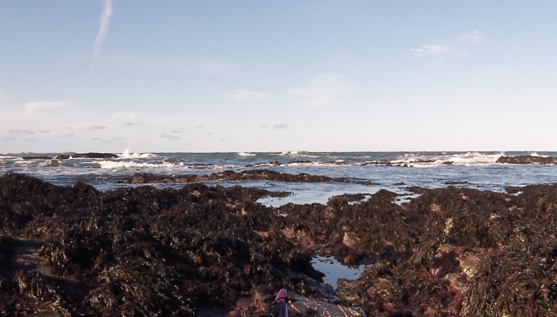 the sea off Cemlyn Point  