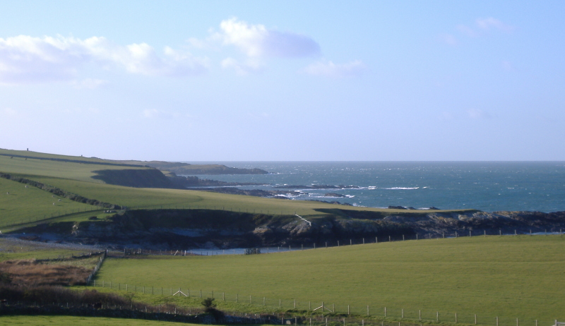 looking west towards Carmel Head  