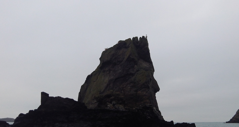 pinnnacle of rock with seagulls on top 