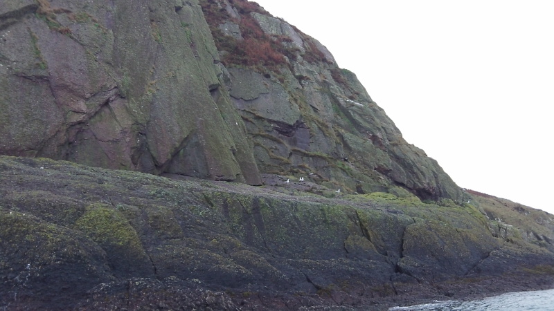 the rock shelf  