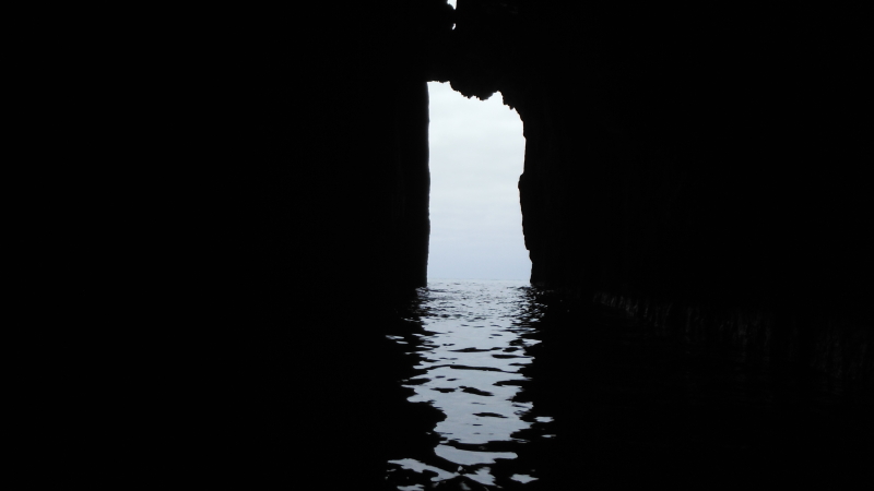 inside a cave looking out  