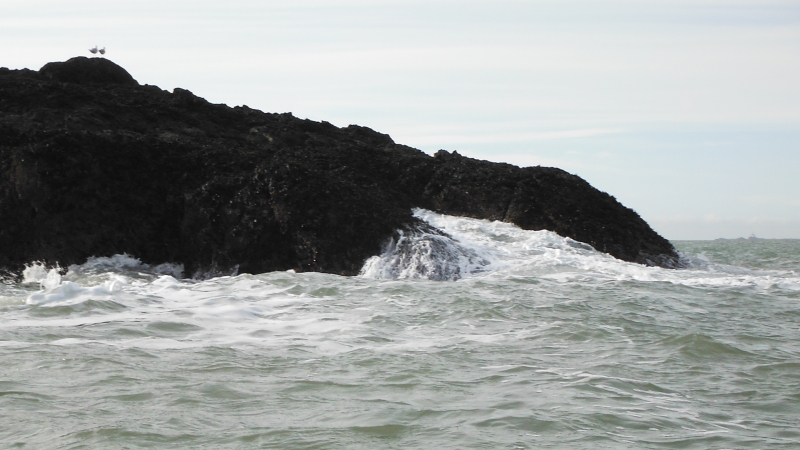 the swell at the west end of Wylfa Head 