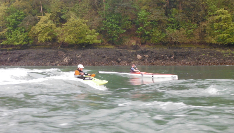  kayaks surfing on the Swellies wave  