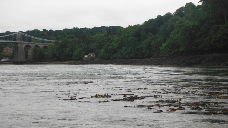  looking across the rapid  