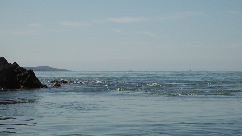  Carmel Head, West Mouse, and the Skerries 