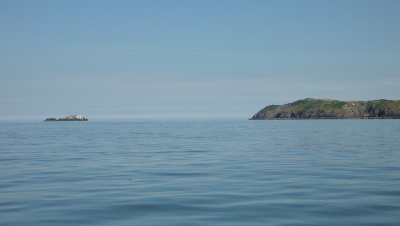  looking eastwards from Wylfa Head 