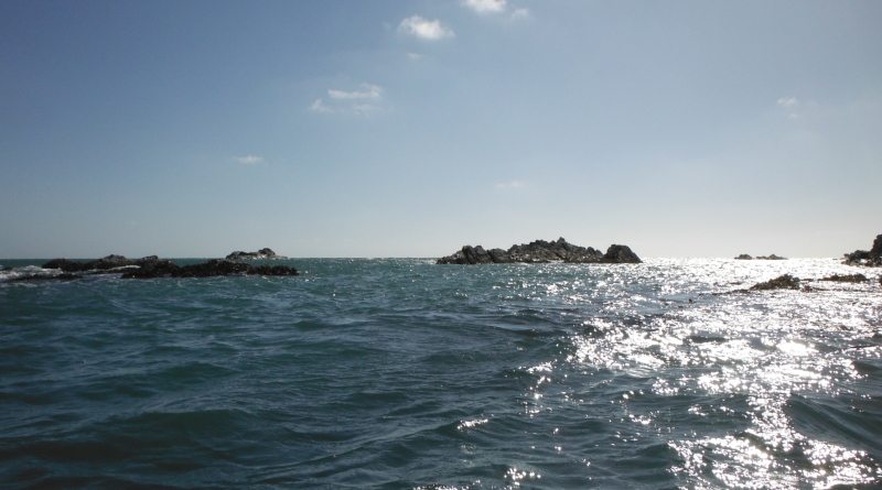  looking out over the rocks of Penrhyn Mawr 