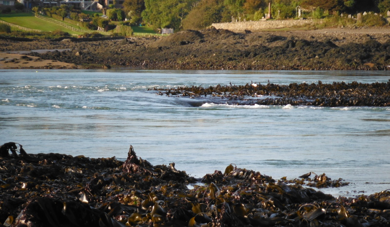  the rapid at the corner of the island 