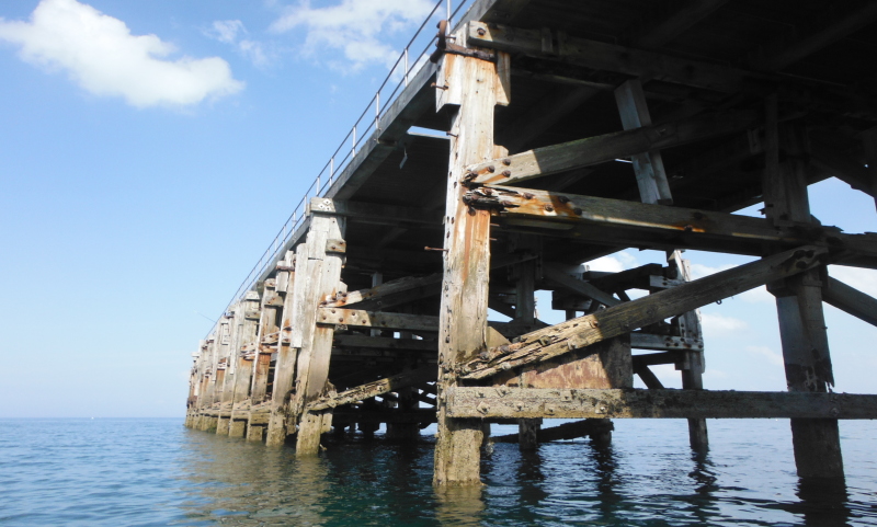  looking at the rather rotten wood of the pier 