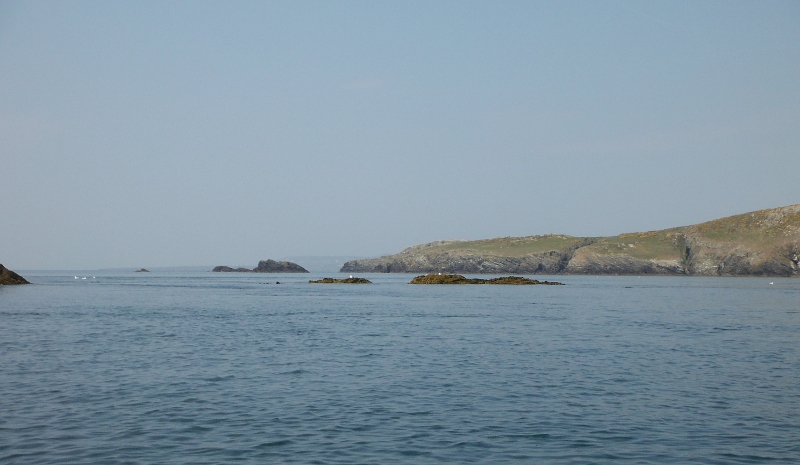  the islands off Rhoscolyn Head 