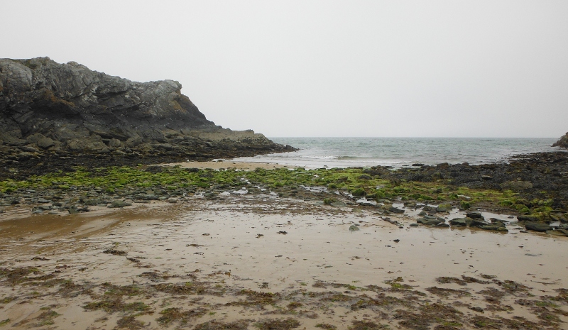  the stones on the beach 