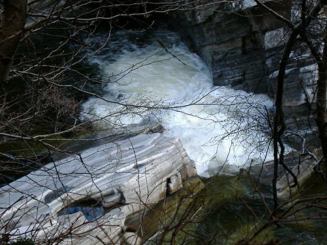 photograph of the grade 4 rapid from the river left path