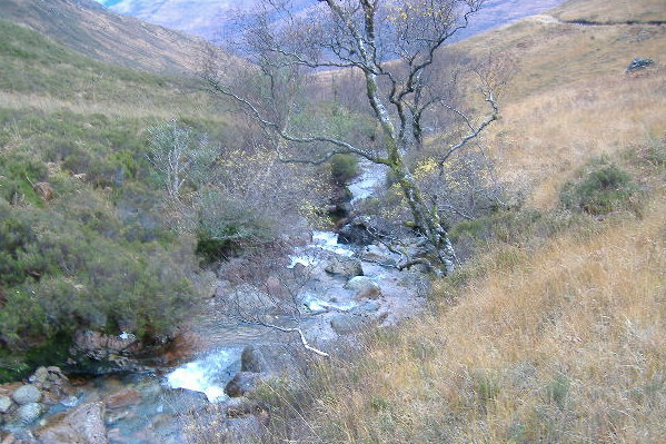 photograph looking down on the river