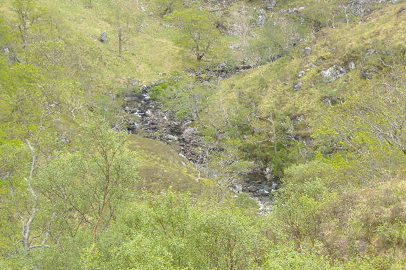 photograph looking down on the river