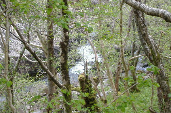 photograph of waterfall further down river