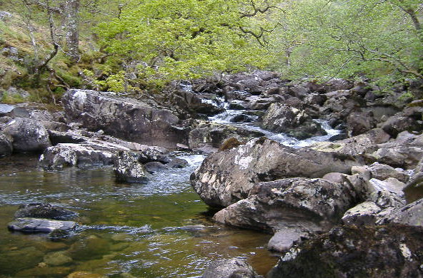 photograph looking up river