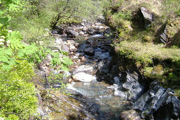 photograph looking up river