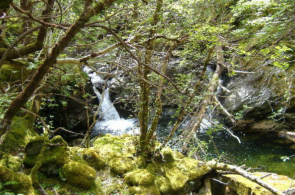 photograph of waterfall