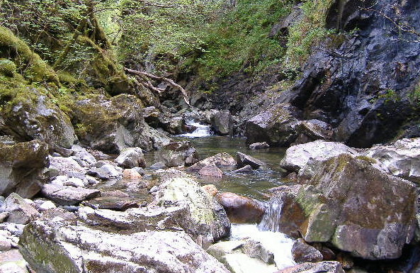 photograph looking up river